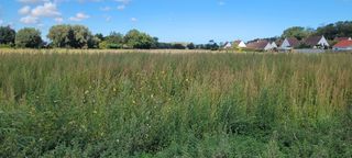  Maison 5 pi�ces 89 m� Nortkerque