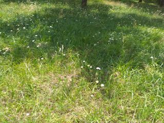  Terrain � vendre 405 m�