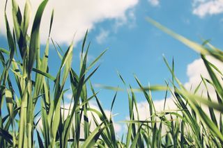  Terrain � vendre 402 m�