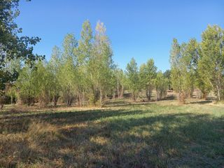  Maison � vendre 5 pi�ces 138 m�