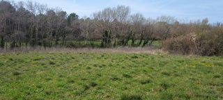  Terrain � vendre 5000 m�