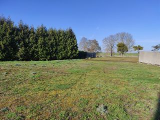  Terrain 1000 m� Daubeuf-pr�s-vatteville