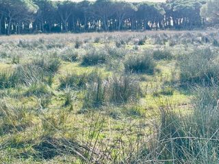  Maison � vendre 3 pi�ces 100 m�