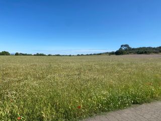  Terrain � vendre 475 m�