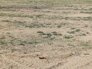  Terrain � vendre 884 m�