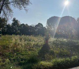  Maison 3 pi�ces 50 m� Albi