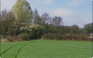  Terrain � vendre 483 m�