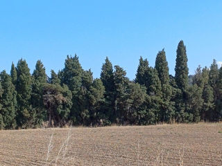  Terrain � vendre 950 m�