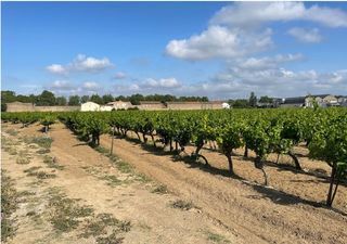  Maison � vendre 4 pi�ces 85 m�