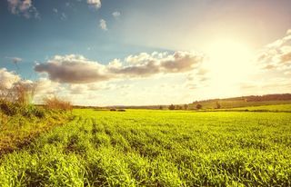  Maison 4 pi�ces 100 m� Sorigny