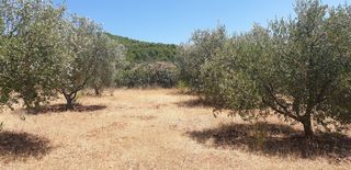  Terrain � vendre 609 m�