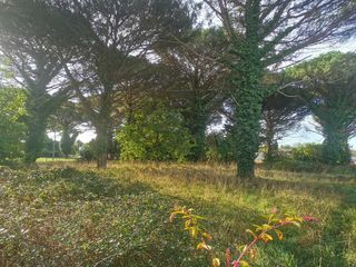  Terrain � vendre 1045 m�