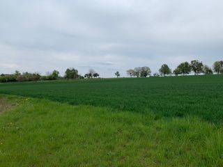  Terrain � vendre 498 m�