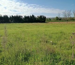  Maison � vendre 3 pi�ces 85 m�