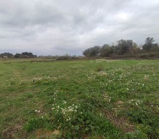  Terrain � vendre 504 m�