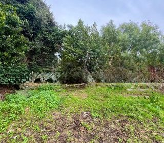  Terrain � vendre 500 m�