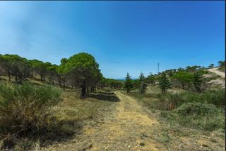  Terrain � vendre 847 m�