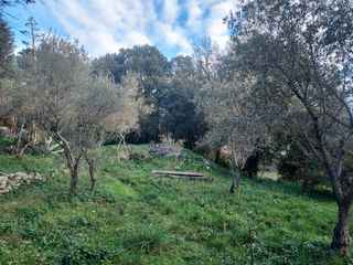  Terrain � vendre 970 m�