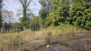  Terrain � vendre 895 m�