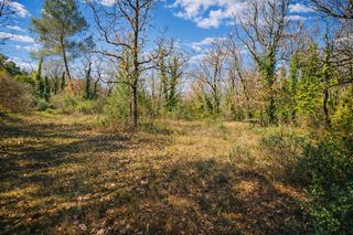  Terrain 4350 m� Saint-c�zaire-sur-siagne