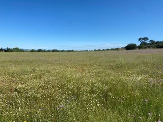  Terrain � vendre 501 m�