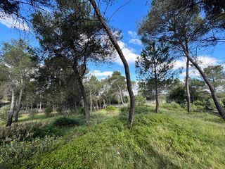  Terrain � vendre 600 m�