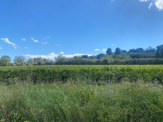  Maison � vendre 6 pi�ces 116 m�