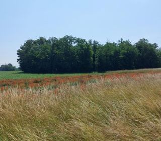  Maison � vendre 3 pi�ces 86 m�