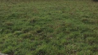  Terrain � vendre 913 m�