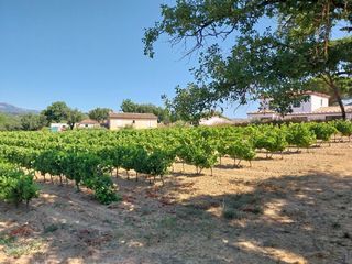  Maison 5 pi�ces 90 m� Cogolin