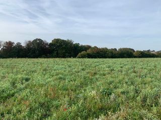  Terrain � vendre 200 m�