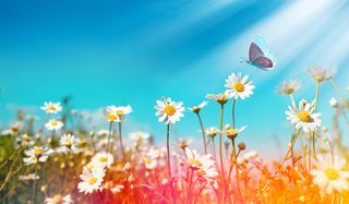  Terrain � vendre 700 m�