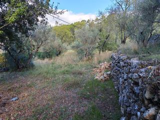 Terrain � vendre 1005 m�