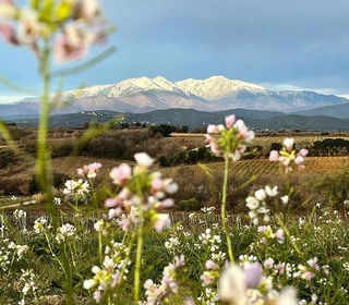  Terrain � vendre 278 m�