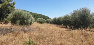  Terrain � vendre 908 m�