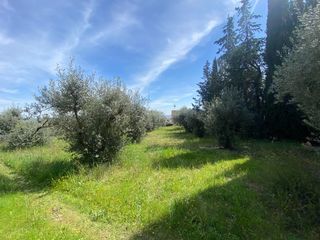  Maison � vendre 4 pi�ces 85 m�