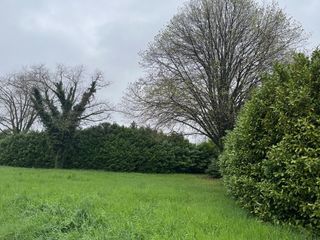  Terrain � vendre 555 m�