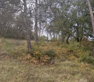  Terrain � vendre 426 m�