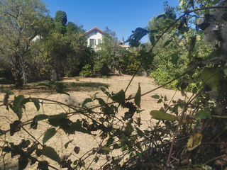  Terrain � vendre 219 m�