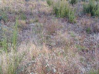  Maison 5 pi�ces 120 m� Cabestany