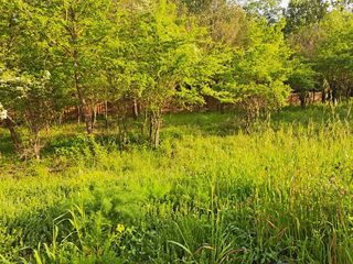  Terrain � vendre 580 m�