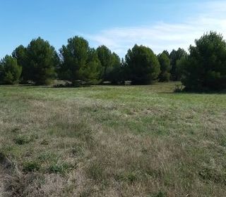  Terrain � vendre 395 m�