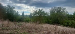  Terrain � vendre 509 m�