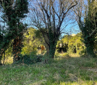  Terrain � vendre 438 m�