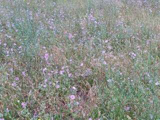  Terrain � vendre 579 m�