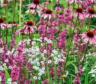  Maison 5 pi�ces 140 m� Montlouis-sur-loire