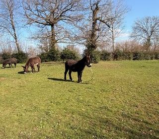  Terrain � vendre 1000 m�