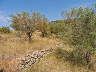  Terrain � vendre 614 m�