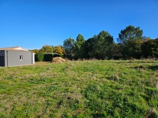  Maison 6 pi�ces 140 m� Muret