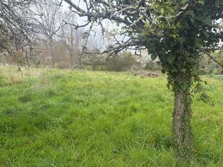  Maison � vendre 5 pi�ces 113 m�